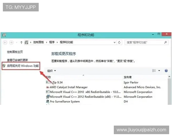 澳新娱乐九游账号注册常见问题及解决方案全面解析